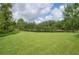 Spacious backyard with a lush lawn and a tranquil pond surrounded by mature trees at 14116 Trouville Dr, Tampa, FL 33624