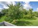 Backyard view with greenery and trees at 14116 Trouville Dr, Tampa, FL 33624