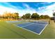 Well-maintained pickleball courts with nets and fencing in a lush, green park setting at 14116 Trouville Dr, Tampa, FL 33624