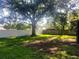 Mature shade tree in backyard with grass and fenced border at 1841 Georgia Ave, Palm Harbor, FL 34683