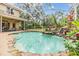An inviting screened pool with a rock waterfall, spa, and step entry, surrounded by lush, tropical plants at 2354 Messenger Cir, Safety Harbor, FL 34695