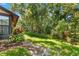 Lush backyard featuring vibrant landscaping, mature trees, and a well-maintained lawn at 2919 Fig Ct, Palm Harbor, FL 34684
