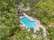 Aerial view of community pool with lounge chairs, lush landscaping, and mature trees at 2919 Fig Ct, Palm Harbor, FL 34684