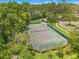 Well-maintained tennis court surrounded by lush greenery and mature trees in a park-like setting at 2919 Fig Ct, Palm Harbor, FL 34684