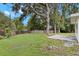 Large backyard featuring mature shade trees, green grass, and a wood fence around the perimeter of the property at 2956 Sutherland Ct, Palm Harbor, FL 34684