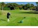 A golfer tees off on the well-maintained golf course surrounded by green fairways and lush landscape at 2956 Sutherland Ct, Palm Harbor, FL 34684