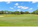 Scenic golf course view with lush green fairways, mature trees, and meticulously maintained grounds at 2956 Sutherland Ct, Palm Harbor, FL 34684