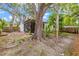 Spacious backyard with mature trees and lush greenery creates a serene outdoor space for relaxation and entertainment at 2986 Cypress Green Dr, Palm Harbor, FL 34684