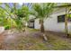 Backyard with a screened in porch and lush green trees and foliage at 2986 Cypress Green Dr, Palm Harbor, FL 34684