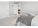 Bright bedroom with plush carpet, soft gray hues, and ample natural light through white-framed windows at 33287 Sycamore Leaf Dr, Wesley Chapel, FL 33545
