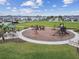 Community playground with swings, slides, and picnic tables at 33287 Sycamore Leaf Dr, Wesley Chapel, FL 33545
