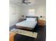 Comfortable bedroom with a full bed, ceiling fan, and a sailboat print at 4049 Ponea Dr, Sarasota, FL 34241