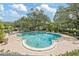 Community pool with deck chairs and green foliage, perfect for relaxation and exercise at 4463 Vieux Carre Cir, Tampa, FL 33613