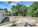 Backyard with a chain link fence and lush foliage at 6014 S 82Nd St, Tampa, FL 33619