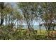 Scenic waterfront view featuring lush greenery and blooming plants at 6060 Shore S Blvd # 903, Gulfport, FL 33707