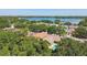 Drone shot of neighborhood showcasing lush trees, lake view, and homes with pools at 9709 Bay Colony Dr, Riverview, FL 33578