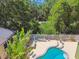 Backyard pool showcasing the pool shape, concrete patio and bordering foliage at 9709 Bay Colony Dr, Riverview, FL 33578