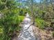 Beautiful walking path surrounded by lush trees at 9709 Bay Colony Dr, Riverview, FL 33578