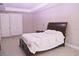 Spacious main bedroom with carpet, tray ceiling, and a walk-in closet at 10431 Alcon Blue Dr, Riverview, FL 33578