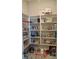 Walk-in pantry with ample shelving for organized storage at 10431 Alcon Blue Dr, Riverview, FL 33578