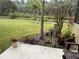 Backyard with green grass, privacy and some plants at 10532 Cory Lake Dr, Tampa, FL 33647