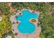 Aerial view showcasing a large pool surrounded by lush greenery, palm trees, lounge chairs, and ample shade at 10945 High Noon Trl, Parrish, FL 34219