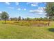 Picturesque view of lush landscaping and native plants under a bright, sunny sky at 10945 High Noon Trl, Parrish, FL 34219