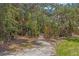 Picturesque walking path winding through lush greenery and mature trees at 10945 High Noon Trl, Parrish, FL 34219