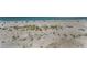 Soft, sandy beach with dune grasses and blue ocean waters, an ideal place for strolling at 13303 Gulf Ln, Madeira Beach, FL 33708
