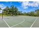 Outdoor basketball court featuring green surface, white lines, hoops, and trees creating a recreational space at 13810 Lake Village Pl, Tampa, FL 33618
