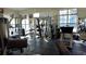 This on-site fitness center features modern machines, mirrored walls, and large windows for a bright workout space at 17923 Arbor Haven Dr, Tampa, FL 33647
