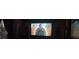 The home theater's screen displaying vivid colors and sharp detail at 17923 Arbor Haven Dr, Tampa, FL 33647