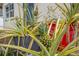 Close-up of beautiful pineapple plants in decorative pots, adding a tropical touch to the property at 2723 8Th N Ave, St Petersburg, FL 33713