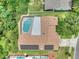 Aerial view showcasing a private pool, solar panels, and lush landscaping, enhancing this home's appeal and energy efficiency at 313 Oak Crest Dr, Safety Harbor, FL 34695