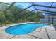 Sparkling screened-in pool area with lush greenery providing a private oasis for relaxation and enjoyment at 313 Oak Crest Dr, Safety Harbor, FL 34695