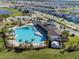 Community pool area surrounded by palm trees, parking, and numerous houses in the background at 33488 Elm Hill Br, Wesley Chapel, FL 33545