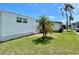 View of the exterior with mature palm trees and manicured lawn at 34041 Azalea N Dr, Pinellas Park, FL 33781