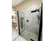 Glass enclosed shower stall with decorative tile floor at 6213 Ashfield Pl, Wesley Chapel, FL 33545