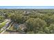 A high aerial view shows a screened pool, large yard, and beautiful tree coverage surrounding the home at 709 Grand Canyon Dr, Valrico, FL 33594
