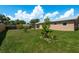 Green backyard with banana trees and newly planted saplings providing a private outdoor space at 920 York Dr, Brandon, FL 33510