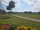 Community walking path with palm trees and lush green grass on a sunny day at 9591 Commodore Dr, Seminole, FL 33776