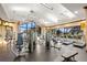 Well-equipped gym with modern equipment and large windows for a great workout experience at 11354 Callisia Dr, Odessa, FL 33556