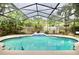 Inviting screened-in pool surrounded by lush landscaping, offering a private outdoor retreat at 11821 Easthampton Dr, Tampa, FL 33626
