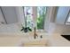 Modern kitchen sink with a brass faucet and an orchid by the window at 1200 47Th St N, St Petersburg, FL 33713