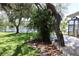 Backyard featuring a wood deck, mature trees, and lake views at 12929 Sugar Creek Blvd, Hudson, FL 34669