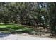Lush yard featuring large trees and a partial view of the home at 12929 Sugar Creek Blvd, Hudson, FL 34669