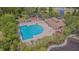 A scenic aerial view showcasing a community pool and picnic area, ideal for Gathering recreation and relaxation at 2124 Rensselaer Dr, Wesley Chapel, FL 33543