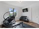 Home gym with state-of-the-art exercise equipment, a mounted television, and ample natural light at 4807 W Longfellow Ave, Tampa, FL 33629