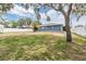 Expansive backyard with lush grass, mature trees, a modern fence, and serene surroundings at 5540 Applegate Dr, Spring Hill, FL 34606