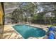 Backyard pool features a screened-in enclosure, landscaped yard and concrete patio at 6918 Potomac Cir, Riverview, FL 33578